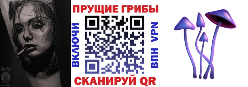 гидра зеркало  Заполярный  Галлюциногенные грибы Cubensis 